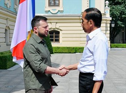 Indonesia nỗ lực trở thành cầu nối giữa Nga và Ukraine