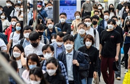 Trở lại làm việc sau dịch, dân công sở Hàn Quốc lo sợ nạn ‘sếp lạm quyền’ tái phát