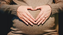 Tiểu bang ở Mỹ tính phôi thai sống là đối tượng phụ thuộc được giảm trừ gia cảnh