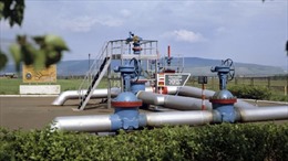 Hungary đề xuất giải pháp để nối lại dòng chảy dầu Nga đi qua Ukraine