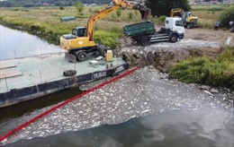 Bí ẩn 100 tấn cá chết nổi kín mặt sông ở Ba Lan