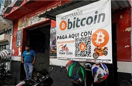 Sau một năm ứng dụng, thành phố tiền số đầu tiên trên thế giới ra sao?