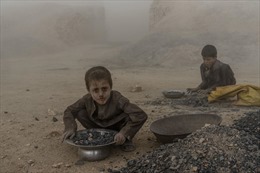 Ngày càng nhiều trẻ em Afghanistan phải làm việc trong các lò gạch