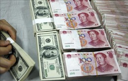 BRICS nỗ lực lập đồng tiền dự trữ mới