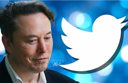 Tỷ phú Elon Musk trưng cầu ý kiến về khả năng từ chức CEO Twitter