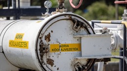 Ukraine tạm dừng đường ống dầu Nga sang Hungary