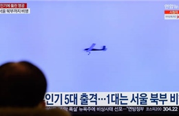 Hàn Quốc: Bộ trưởng Quốc phòng xin lỗi, không quân nhầm chim thành &#39;UAV Triều Tiên&#39;