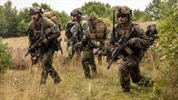 Mỹ tăng cường hợp tác quân sự với quốc gia mong mỏi gia nhập NATO