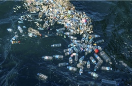 Phó Thủ tướng Nga: Lượng nhựa sẽ vượt số cá ở đại dương 