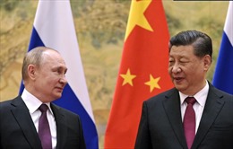 WSJ: Chủ tịch Trung Quốc có thể tới Nga vào tháng 4 để thúc đẩy đàm phán hòa bình Ukraine