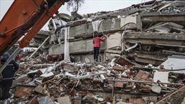 Romania hứng chịu hơn 800 dư chấn sau hai trận động đất mạnh nhất lịch sử