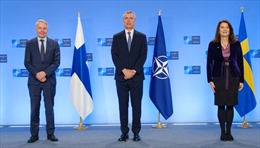 Cơ hội gia nhập NATO châm ngòi rạn nứt giữa Thụy Điển và Phần Lan
