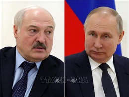 Phản ứng của Nga về sáng kiến hòa bình Ukraine của Belarus