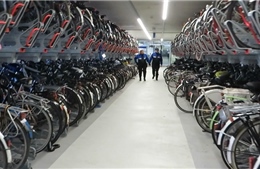 Bãi đỗ xe đạp - Mắt xích kết nối hạ tầng giao thông tại Hà Lan