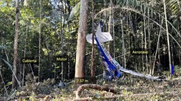 Sơ đồ chỗ ngồi hé lộ lý do 4 trẻ em sống sót trong vụ rơi máy bay ở Colombia