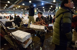 Người Hàn Quốc lo tích trữ muối biển, hải sản trước khi Nhật Bản xả nước thải Fukushima