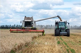 Thỏa thuận ngũ cốc chấm dứt, vì sao các nhà sản xuất nông sản EU e ngại giúp đỡ Ukraine?