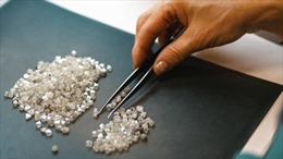 EU tìm cách hạn chế hoạt động mua bán kim cương Nga