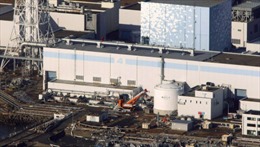 Nhật Bản tiết lộ thời điểm xả nước phóng xạ Fukushima