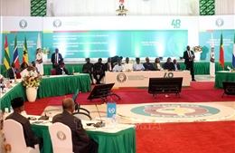 ECOWAS thận trọng cân nhắc hành động tiếp theo đối với cuộc đảo chính tại Niger
