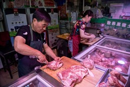 Trung Quốc mở nhà máy thịt nhân tạo, lo an ninh thực phẩm cho 1,4 tỷ dân