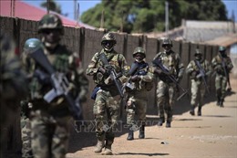 Tiết lộ kết quả đàm phán giữa chính quyền quân sự Niger và phái đoàn ECOWAS