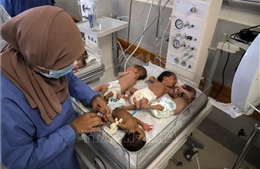 28 trẻ sinh non sơ tán từ bệnh viện Al-Shifa tới Ai Cập an toàn