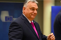 Quan chức EU lo ngại khả năng Thủ tướng Hungary tiếp quản Hội đồng châu Âu