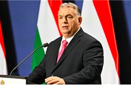Nghị viện EU phát động nỗ lực &#39;lịch sử&#39; nhằm trừng phạt Hungary