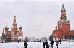 Khả năng EU tịch thu tài sản đang bị đóng băng của Nga