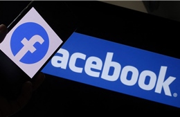 Hà Lan có thể cấm nhân viên chính phủ dùng Facebook