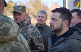 Nghị sĩ Ukraine: Tổng thống Zelensky sẽ cách chức toàn bộ cấp phó của Tướng Zaluzhny