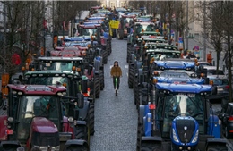 Nông dân tiếp tục lái máy kéo phong tỏa một phần thủ đô Brussels (Bỉ)