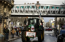 Chính sách nông nghiệp xanh của EU gặp khó trước làn sóng biểu tình