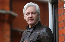 Nỗ lực của Australia giúp ông chủ WikiLeaks tự do như thế nào?