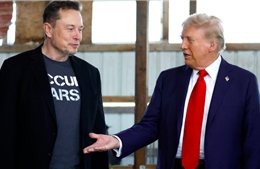 Vai trò của tỷ phú Elon Musk trong việc lựa chọn nội các của ông Trump