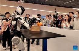 Cuộc đua tạo robot hình người tân tiến nhất thế giới giữa Trung Quốc và Mỹ