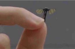 Quân đội Trung Quốc tiết lộ UAV nhỏ bằng muỗi làm nhiệm vụ tác chiến