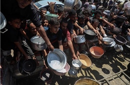 Gaza trước viễn cảnh chiếm đóng toàn diện và nạn đói lan rộng