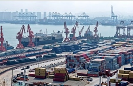 Rủi ro thuế quan Mỹ đè nặng, xuất khẩu Trung Quốc tháng 8 giảm tốc mạnh nhất nửa năm