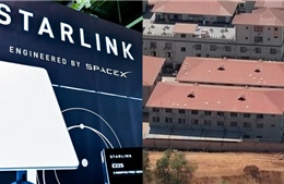 Starlink của tỷ phú Elon Musk bị điều tra vì dính líu các ổ lừa đảo ở Myanmar