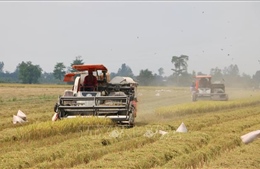 Việt Nam trở thành nước ký bản ghi nhớ thương mại gạo đầu tiên của Singapore