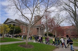 Tuyển sinh quốc tế tại Mỹ giữ mức ổn định dù quy định thị thực chặt hơn