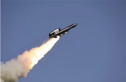 Châu Âu tạm dừng thương vụ tên lửa tầm xa Falmingo vì bê bối tham nhũng Ukraine