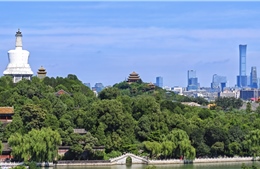 Từ khói bụi đến bầu trời trong sạch: Bài học trong cuộc chiến chống ô nhiễm toàn cầu