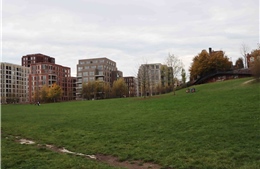 Brussels chủ động chống ngập: Từ bãi cỏ xanh thành bể tràn hứng nước mưa