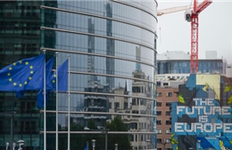 EU ra quyết định lịch sử với 246 tỷ USD tài sản Nga  ở châu Âu