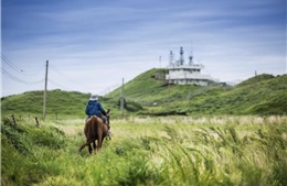 Những điểm đến gắn liền với hình tượng ngựa không thể bỏ qua tại Hàn Quốc