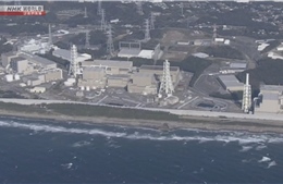 Nhà máy điện hạt nhân Nhật Bản thao túng dữ liệu an toàn động đất