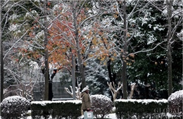 Không khí lạnh gây ra hiện tượng tuyết rơi hiếm gặp tại Thượng Hải